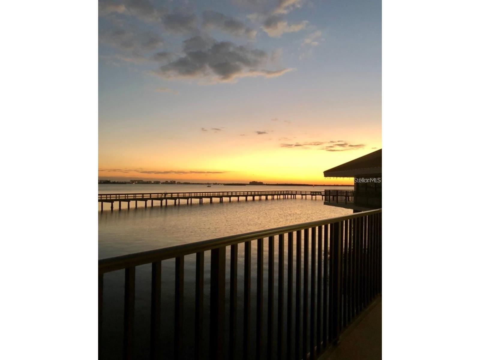 632 Edgewater Drive #139 Dunedin FL 34698 TB8505458 image51