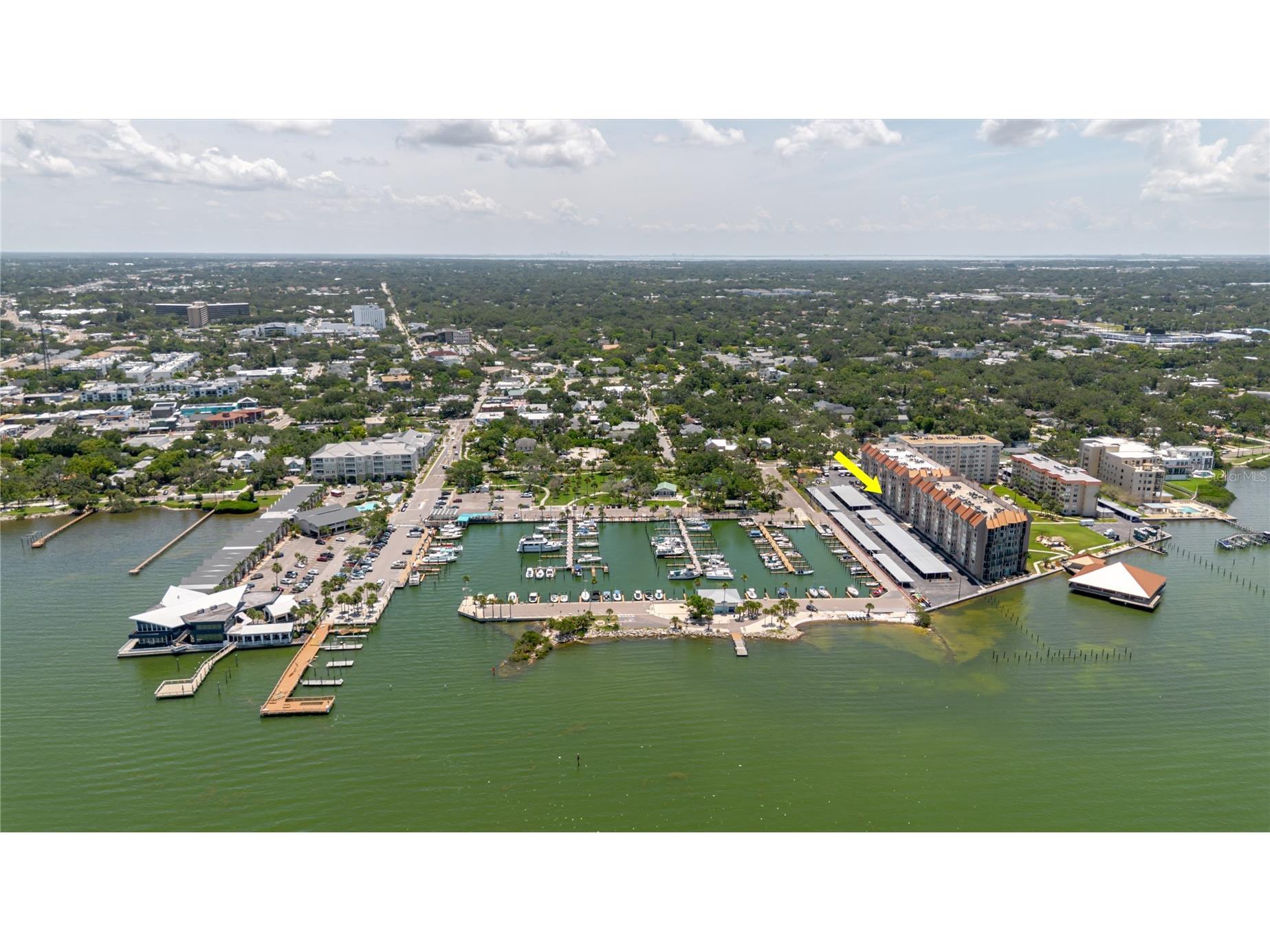 632 Edgewater Drive #238 Dunedin FL 34698 TB8450633 image14