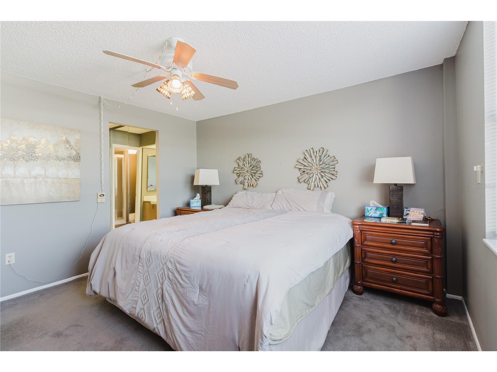 632 Edgewater Drive #238 Dunedin FL 34698 TB8450633 image9