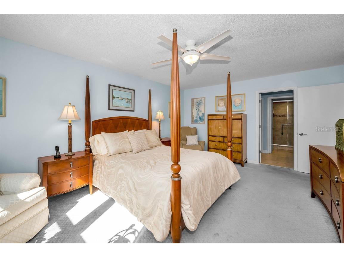 632 Edgewater Drive #433 Dunedin FL 34698 TB8448114 image27