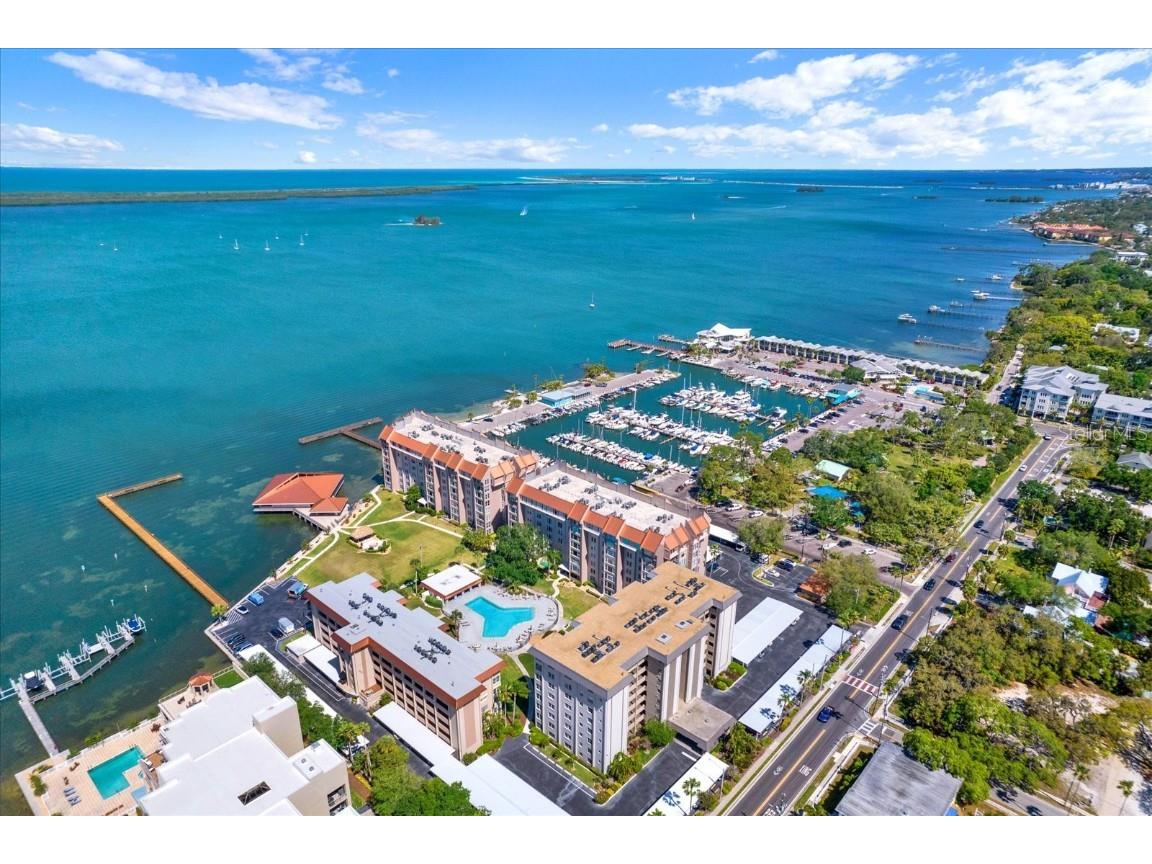 632 Edgewater Drive #435 Dunedin FL 34698 T3518055 image1