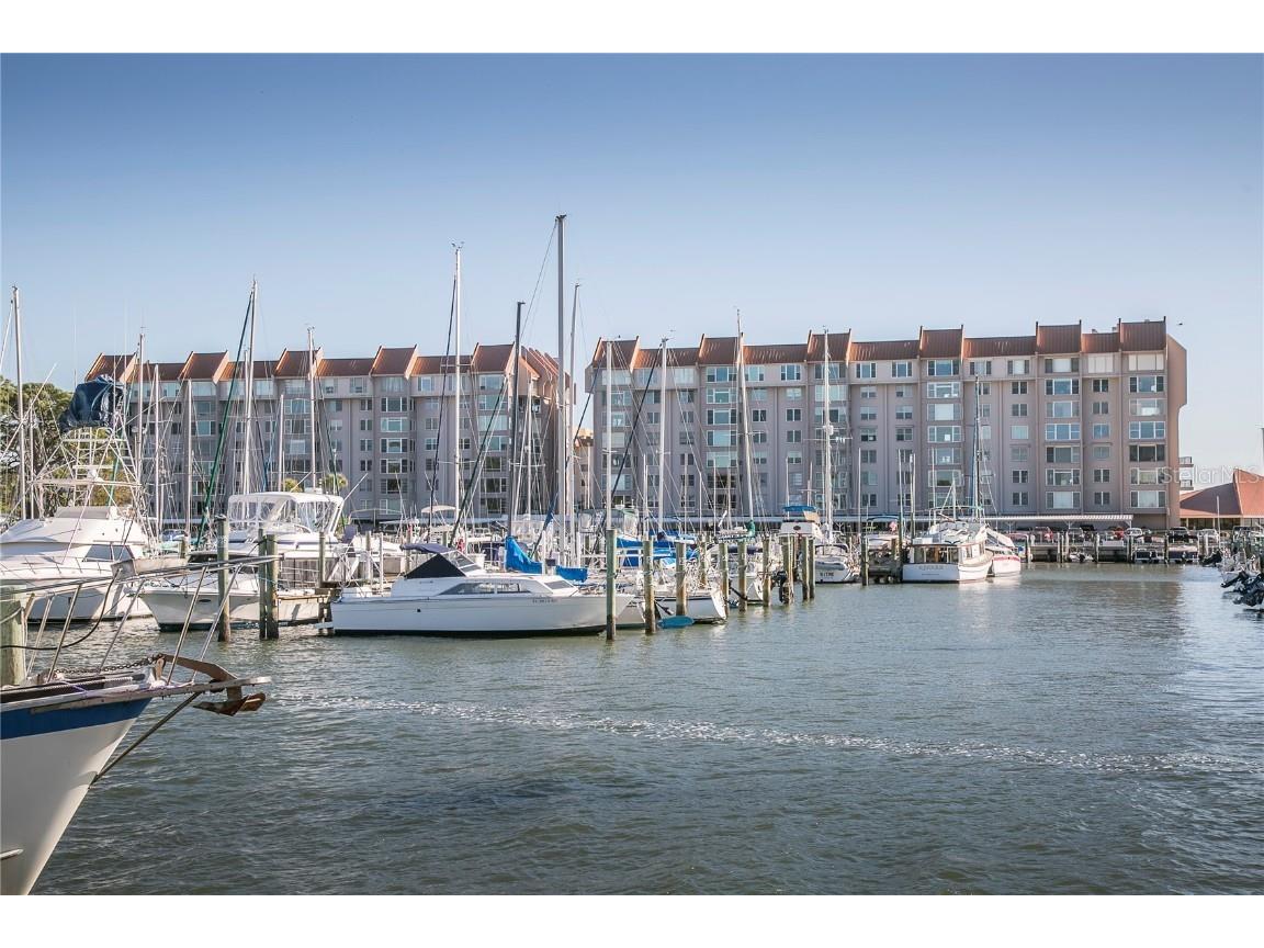 632 Edgewater Drive #537 Dunedin FL 34698 U8202413 image1