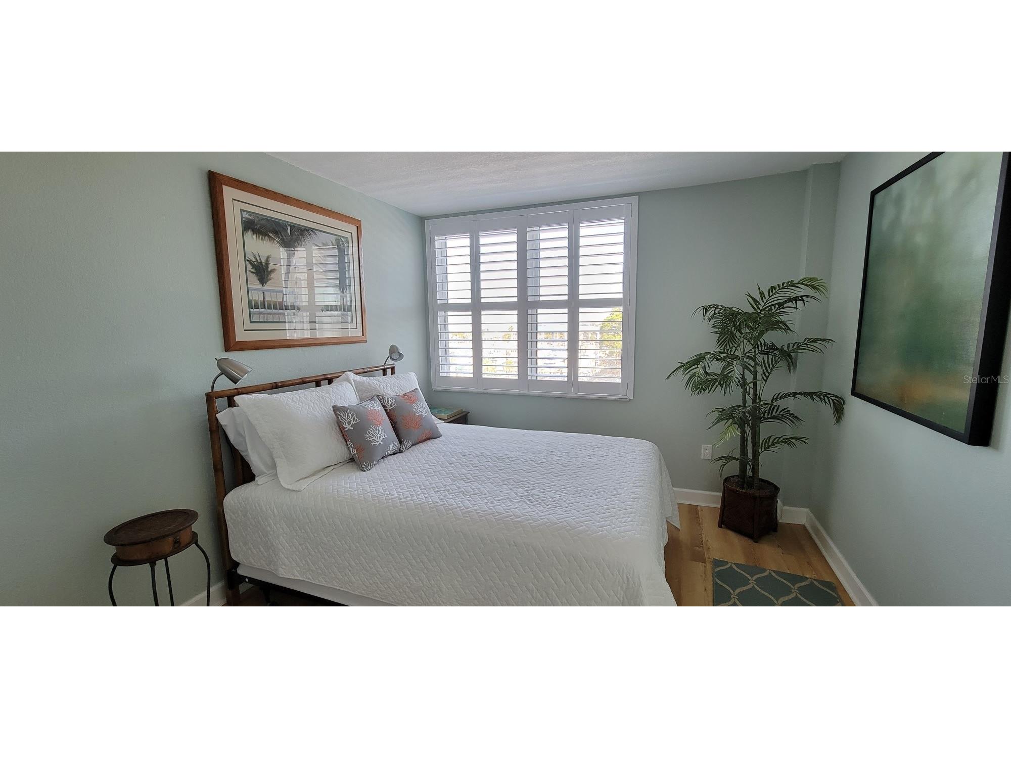 632 Edgewater Drive #537 Dunedin FL 34698 TB8440014 image15