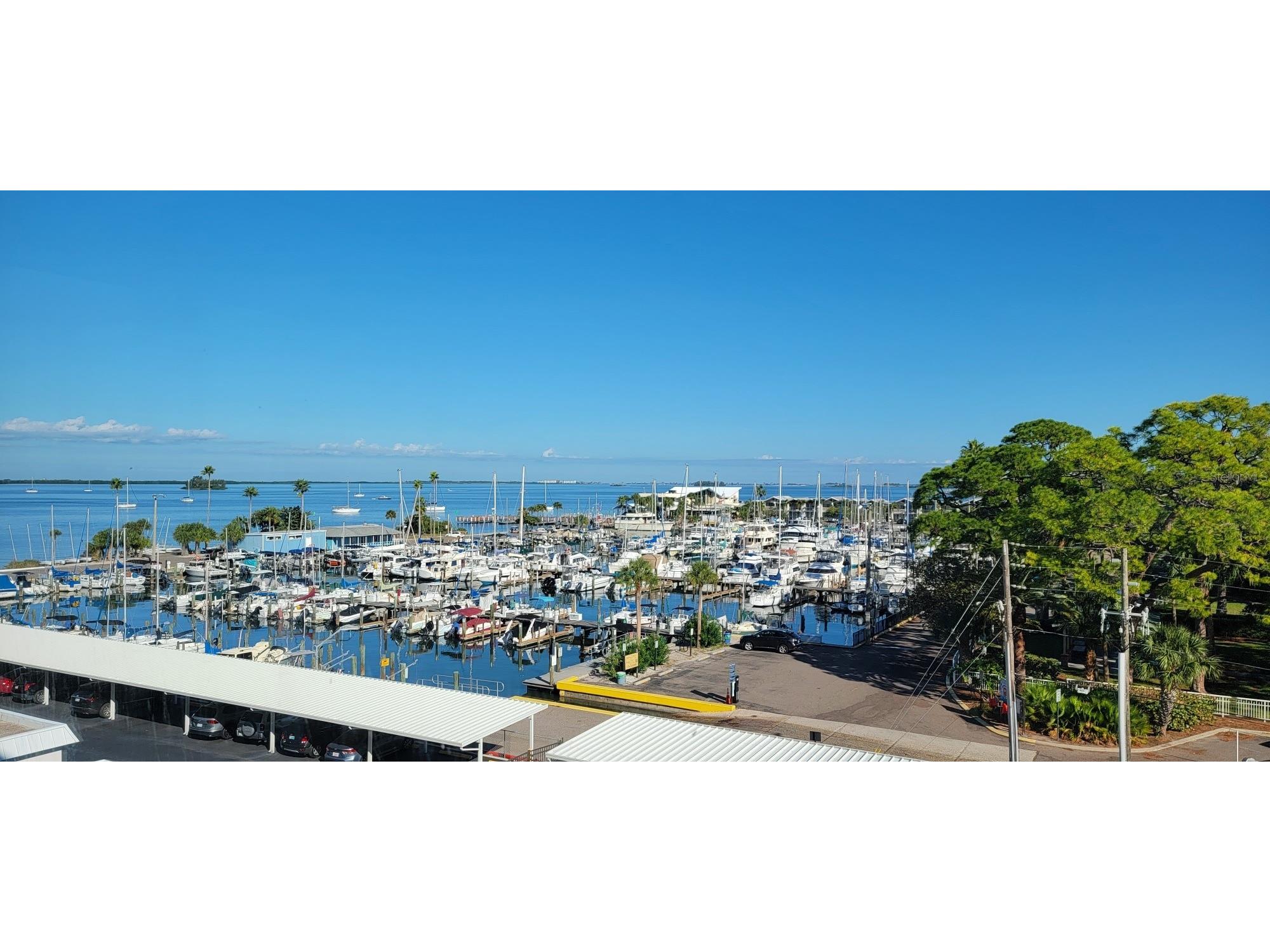 632 Edgewater Drive #537 Dunedin FL 34698 TB8440014 image22