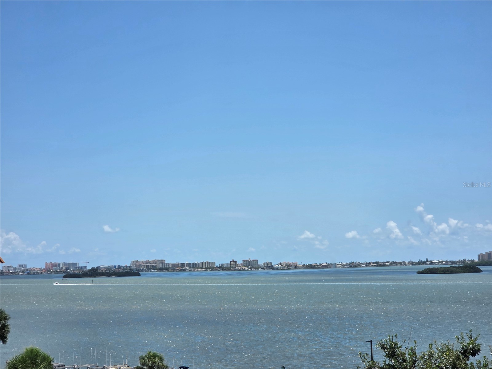632 Edgewater Drive #537 Dunedin FL 34698 TB8440014 image28