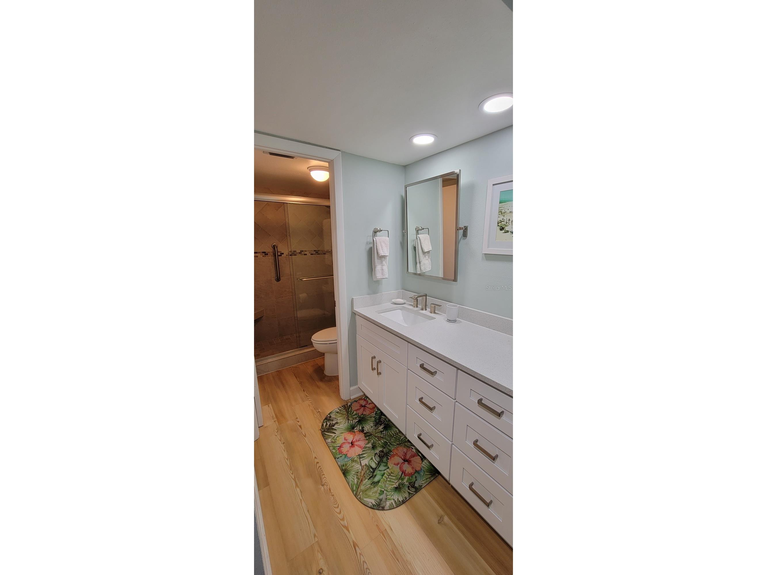 632 Edgewater Drive #537 Dunedin FL 34698 TB8440014 image8