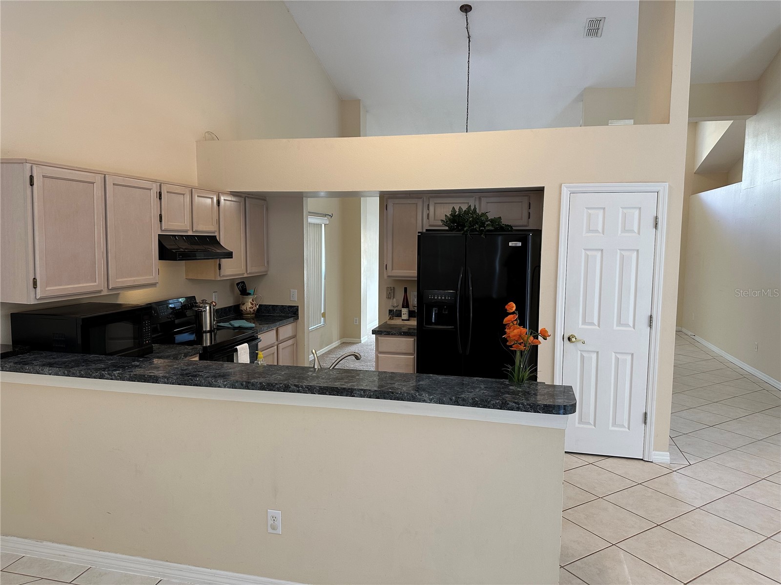 632 Heron Bay Drive Orlando FL 32825 - HIGH POINTE LAKES O6372708 image45