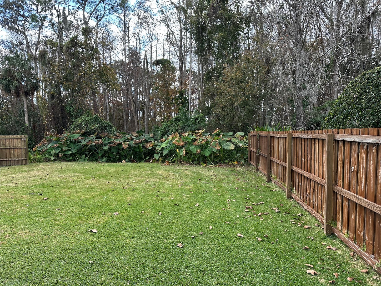 632 Heron Bay Drive Orlando FL 32825 - HIGH POINTE LAKES O6372708 image50
