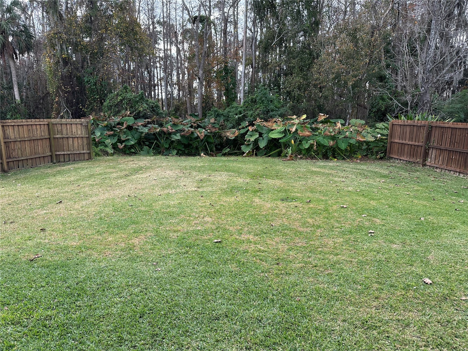 632 Heron Bay Drive Orlando FL 32825 - HIGH POINTE LAKES O6372708 image54