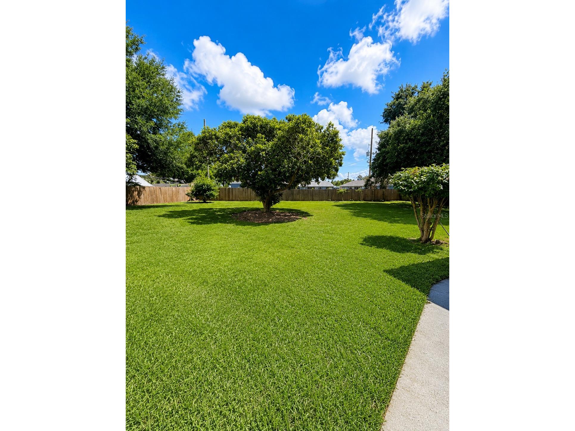 632 Mays Court Orlando FL 32805 O6422121 image12