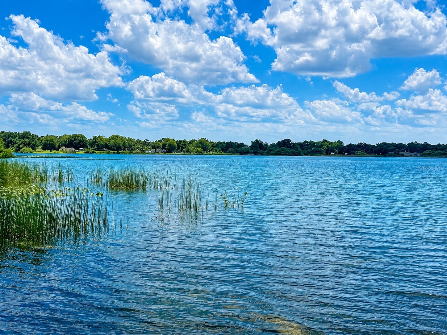 632 Mays Court Orlando FL 32805 O6422121 image13
