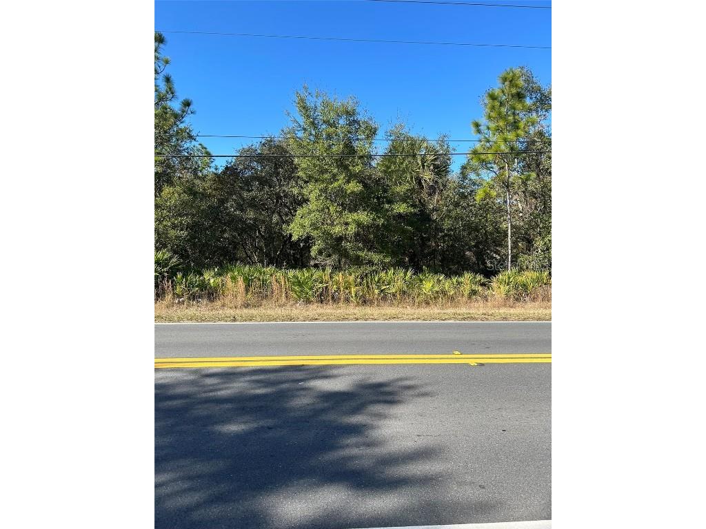 632 N Dunkenfield Avenue Crystal River FL 34429 OK225671 image6