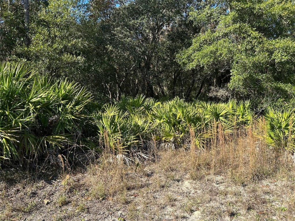 632 N Dunkenfield Avenue Crystal River FL 34429 OK225671 image7