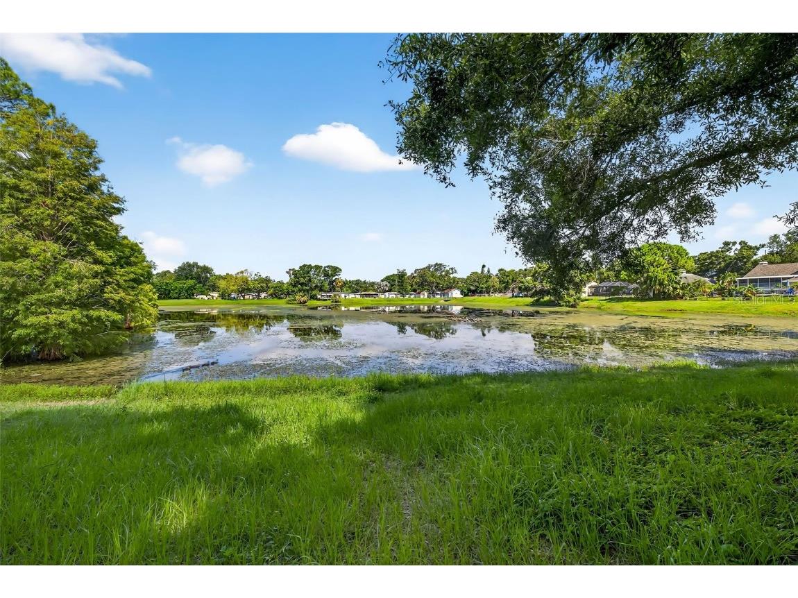 6320 66th Avenue N Pinellas Park FL 33781 TB8405357 image22