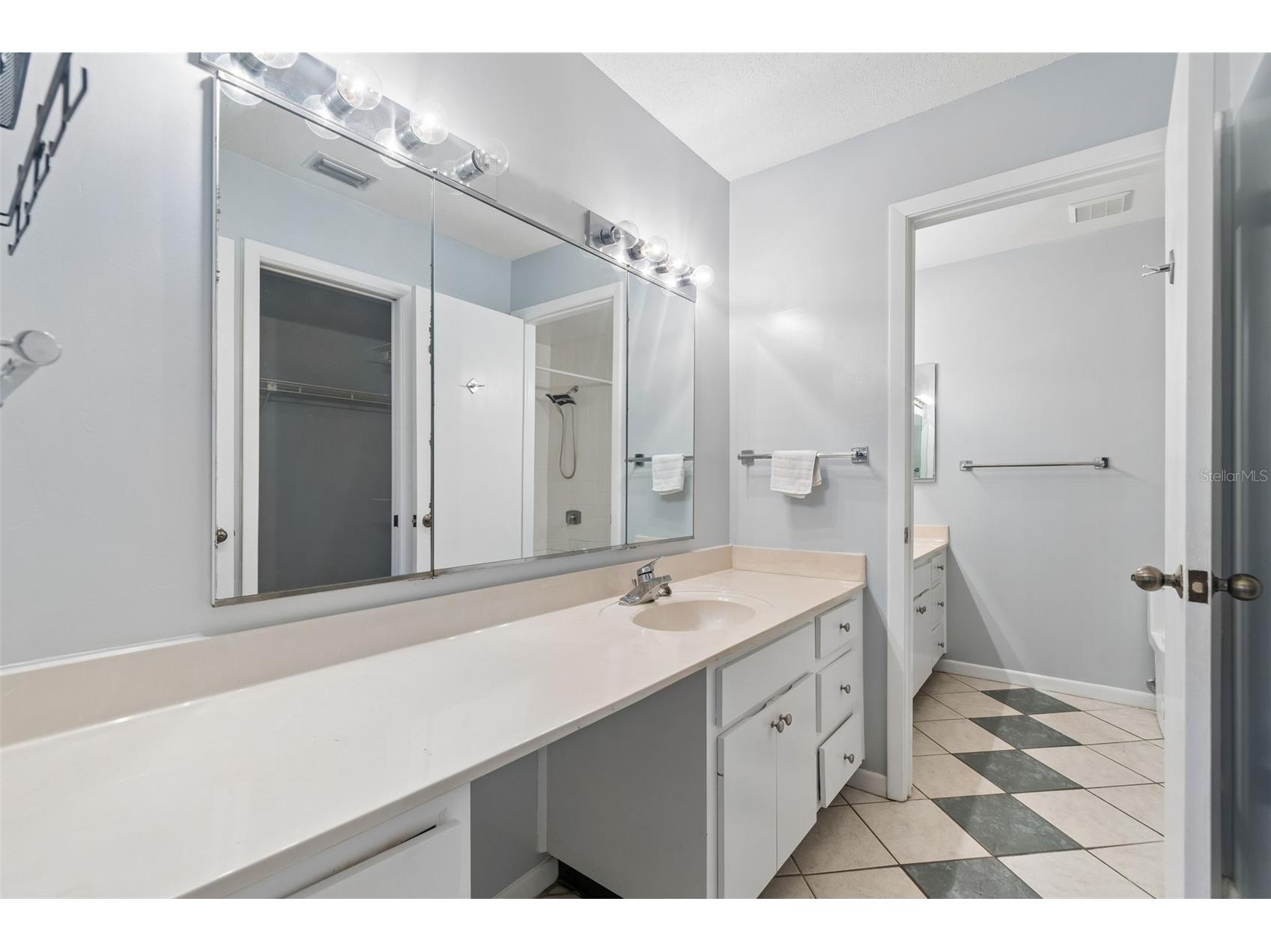 6320 Grand Bahama Circle #6320 Tampa FL 33615 TB8487514 image42