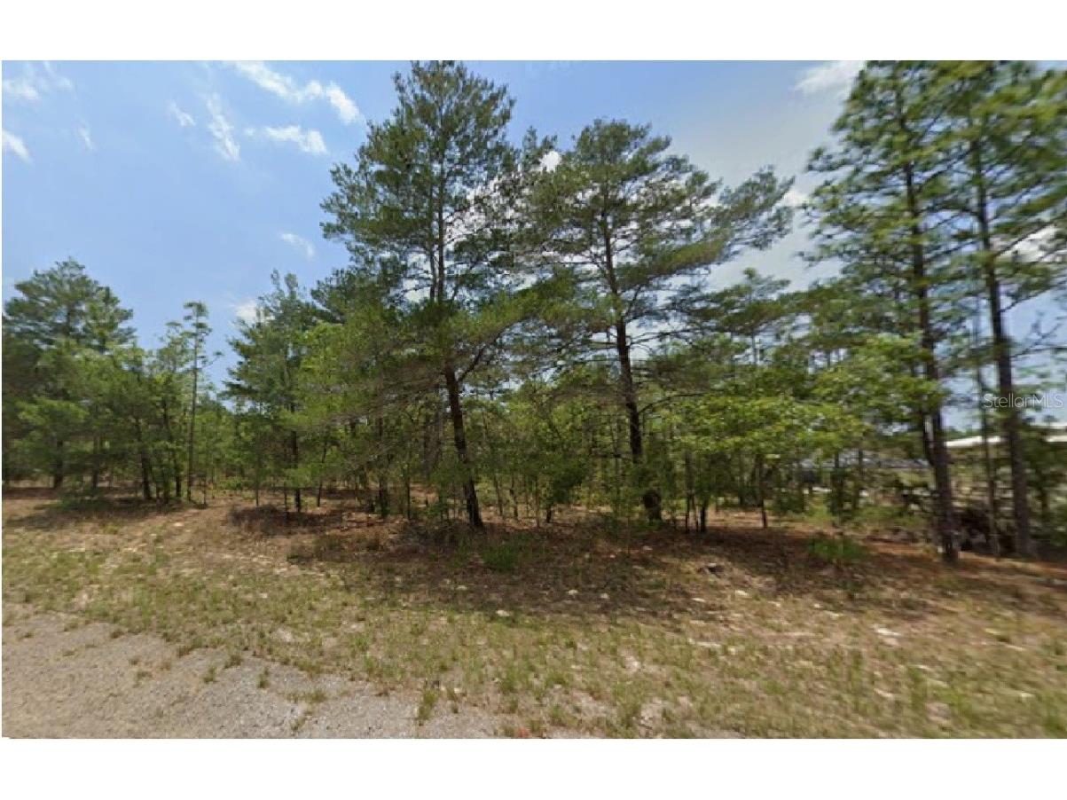 6320 N Chestnut Terrace Dunnellon FL 34433 R4910208 image1