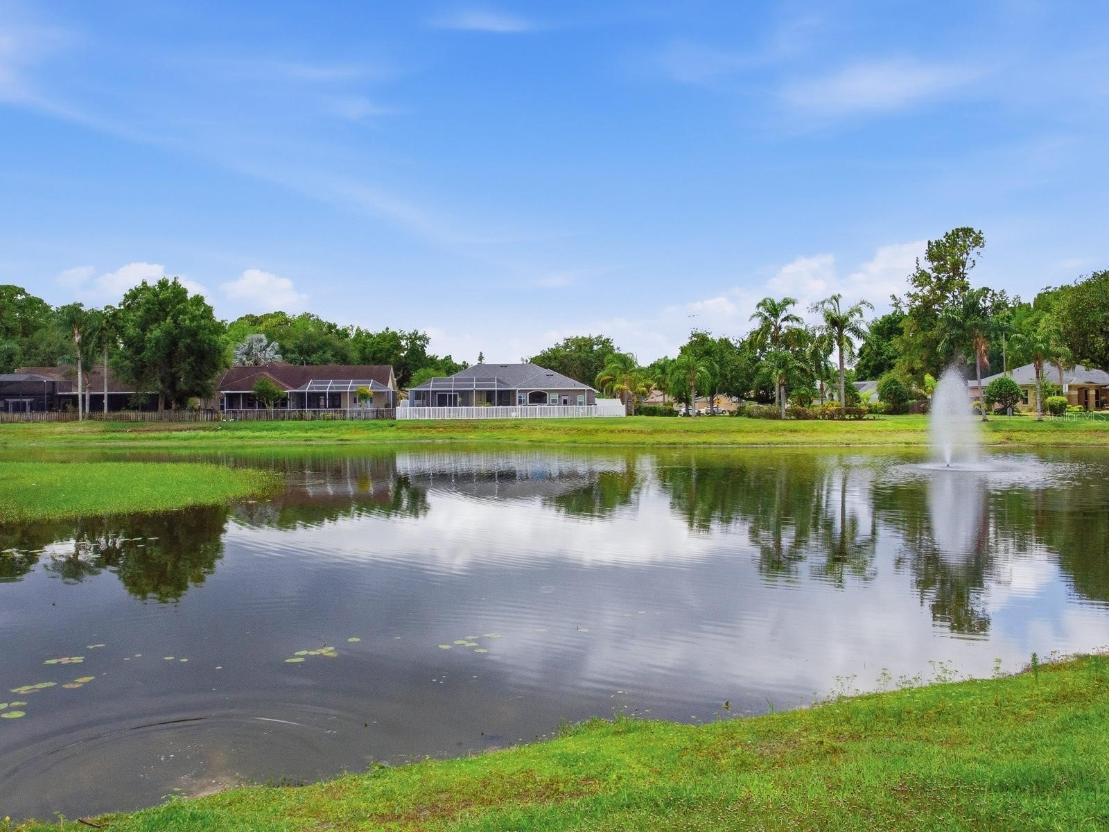 6320 Nikki Lane Tampa FL 33625 TB8532240 image59