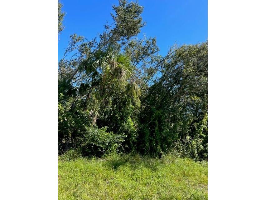 6320 Pennell Street Englewood FL 34224 D6132905 image1