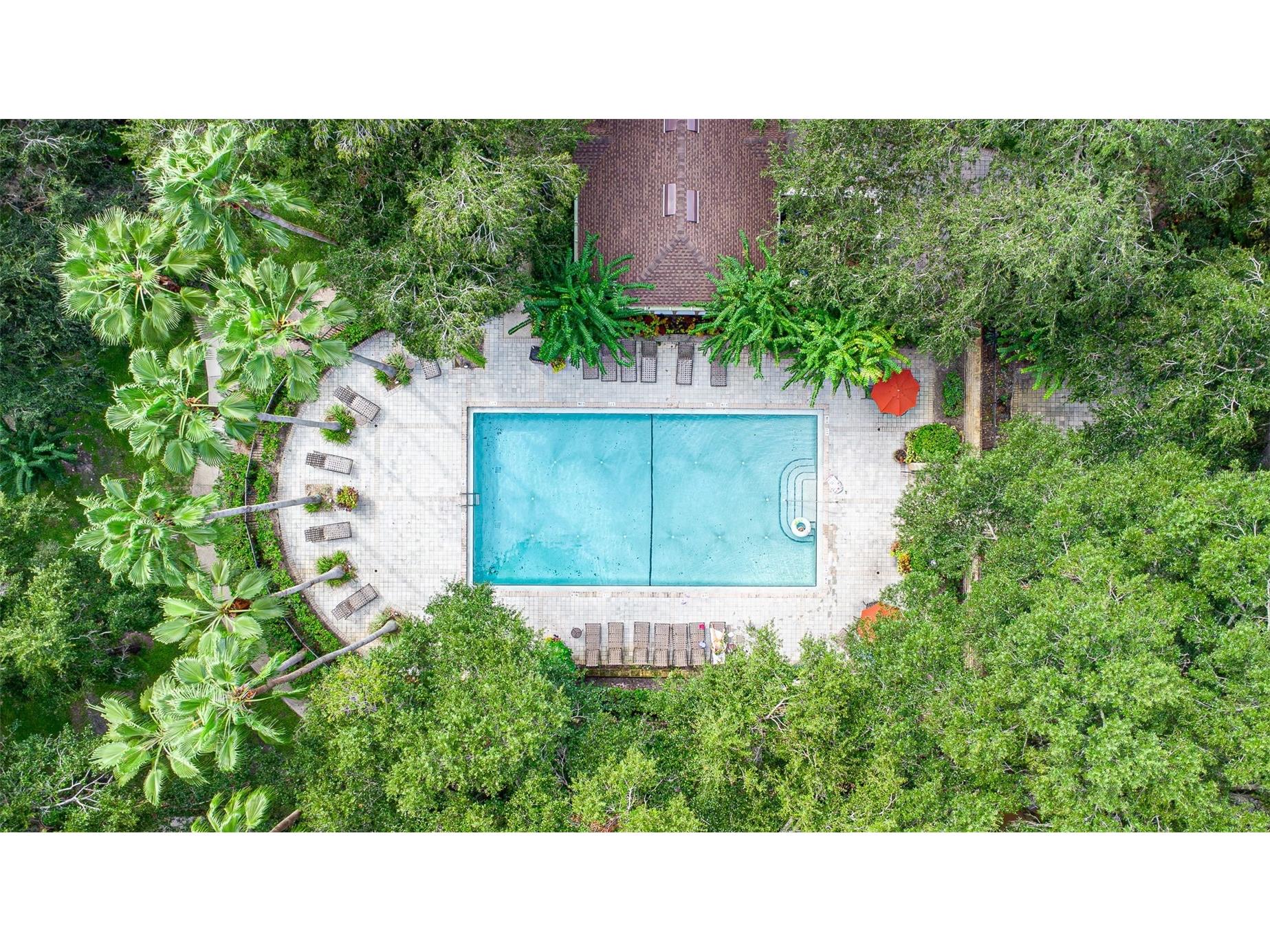 6320 Raleigh Street #604 Orlando FL 32835 O6407202 image25
