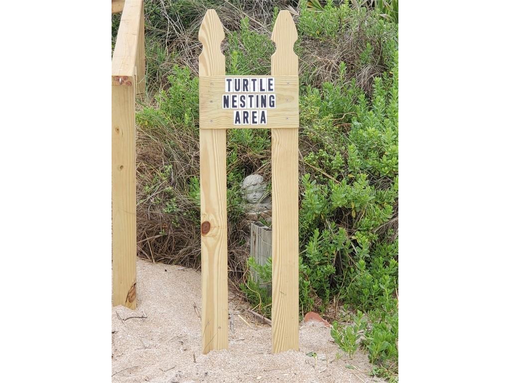 6320 S Atlantic Avenue New Smyrna Beach FL 32169 - ATLANTIC OCEAN NS1084949 image59