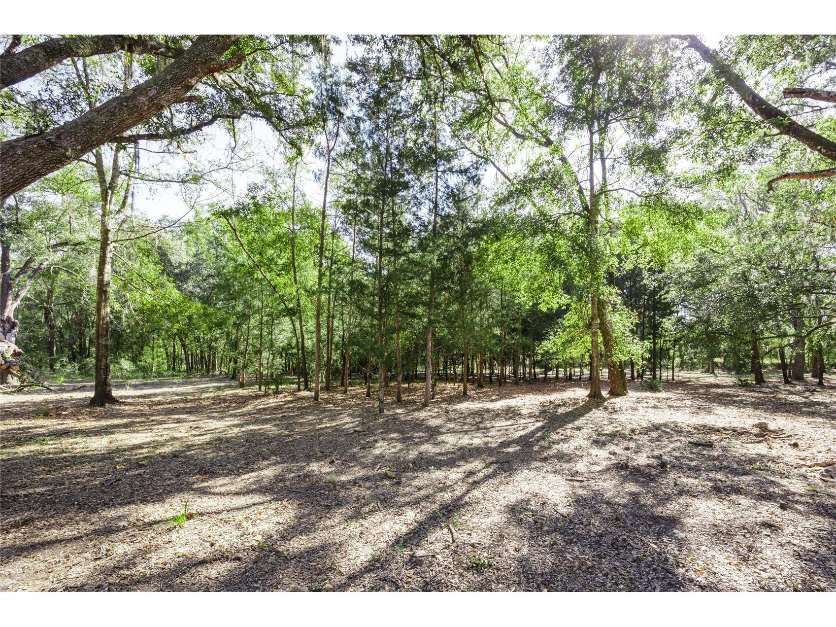 6320 SE 91st Trail Trenton FL 32693 O6410122 image36