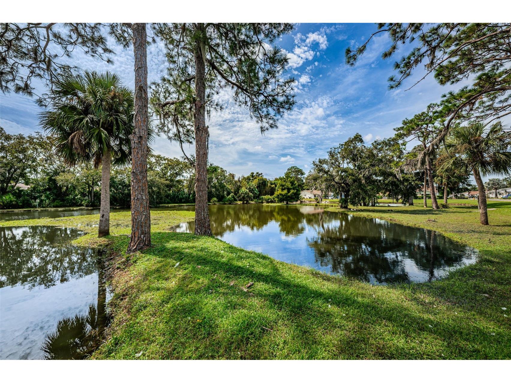 6321 Emerson Drive New Port Richey FL 34653 TB8527274 image42