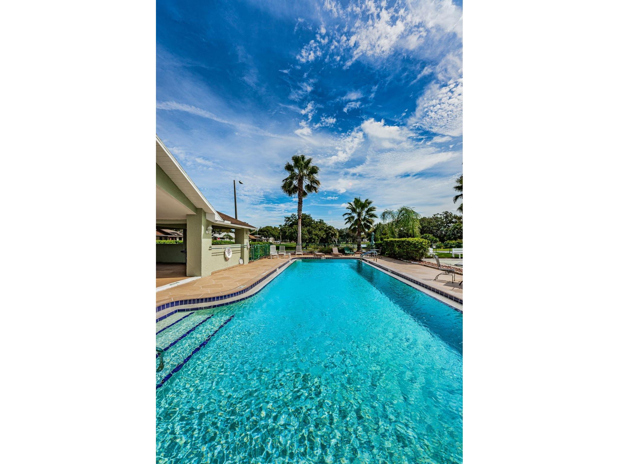 6321 Emerson Drive New Port Richey FL 34653 TB8527274 image49