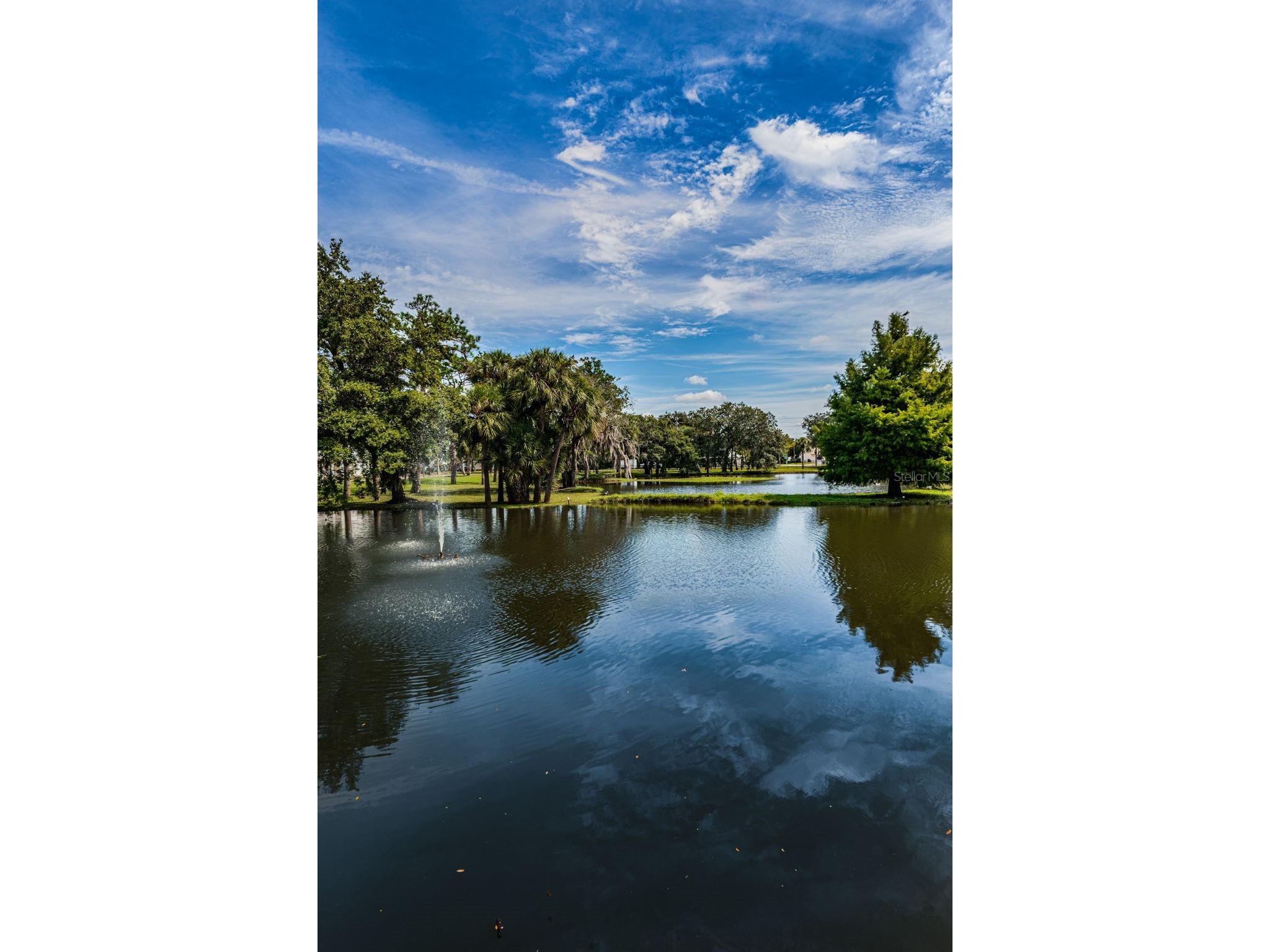 6321 Emerson Drive New Port Richey FL 34653 TB8527274 image54