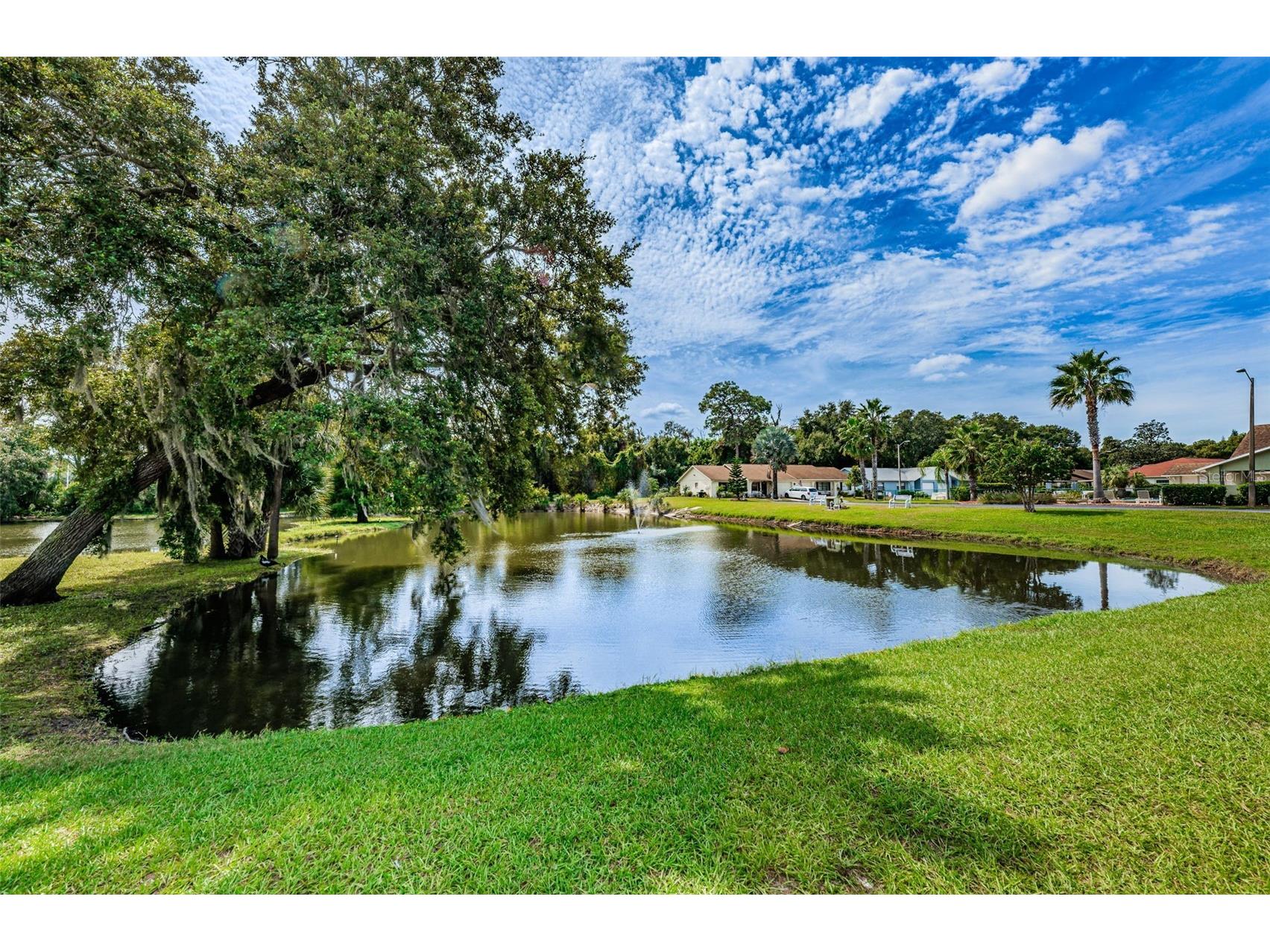 6321 Emerson Drive New Port Richey FL 34653 TB8527274 image55