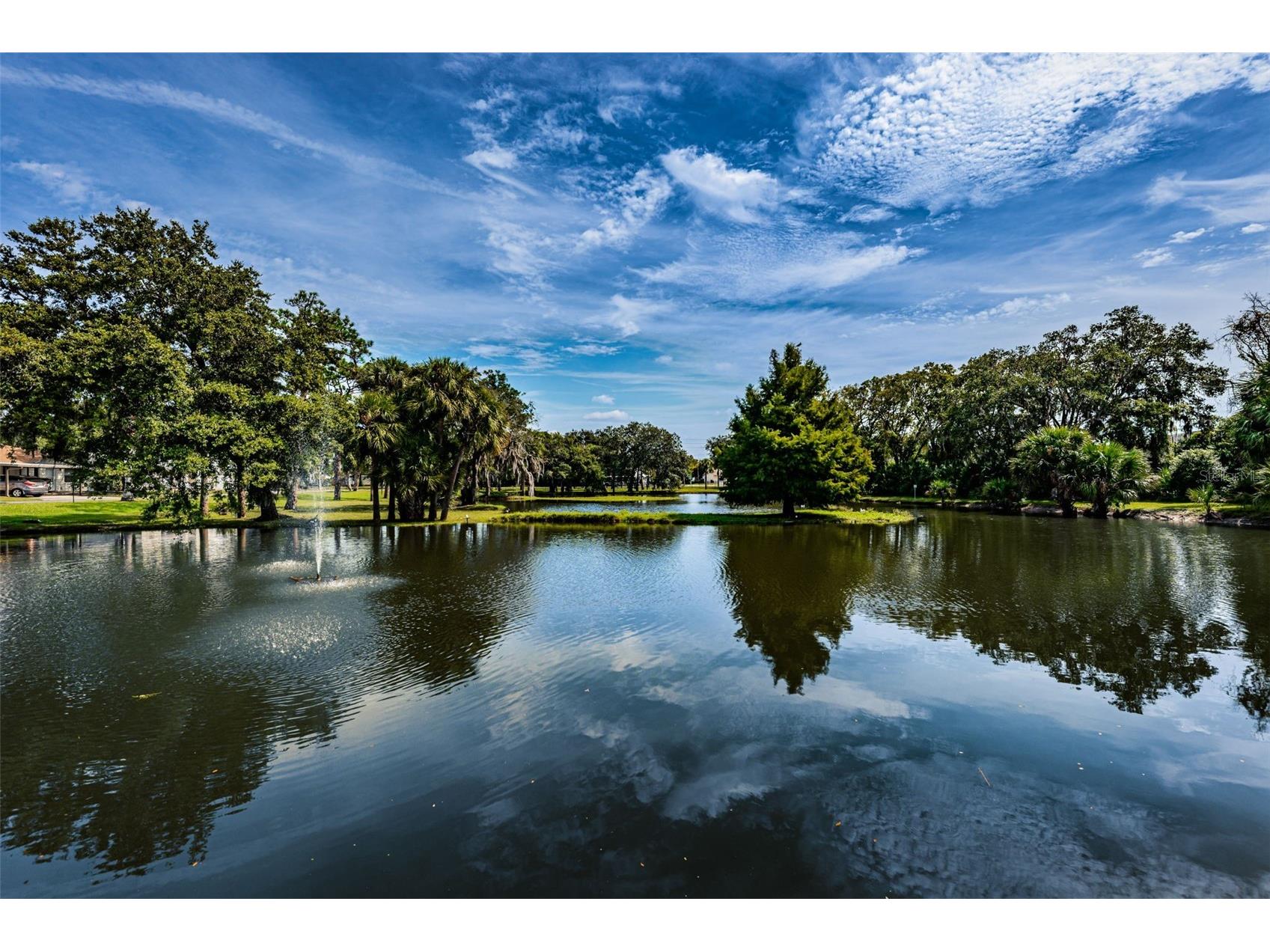 6321 Emerson Drive New Port Richey FL 34653 TB8527274 image56