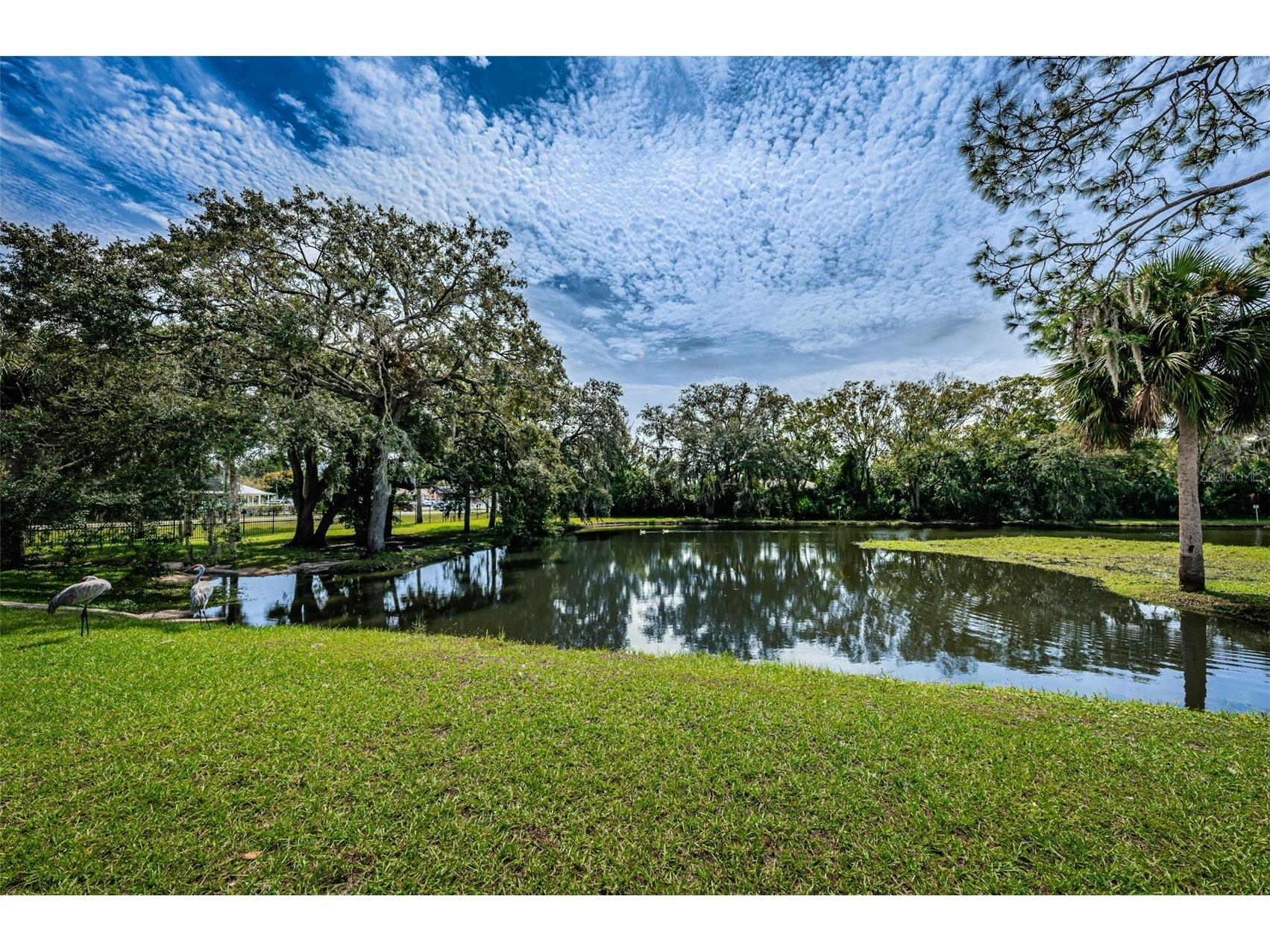 6321 Emerson Drive New Port Richey FL 34653 TB8527274 image57