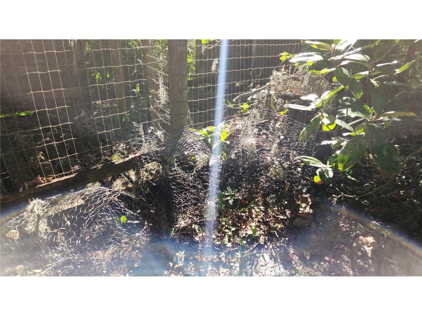 6321 Runnel Drive New Port Richey FL 34653 - Cedar Lake W7880658 image17