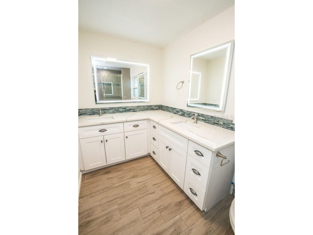 6322 Balboa Lane Apollo Beach FL 33572 TB8421641 image47