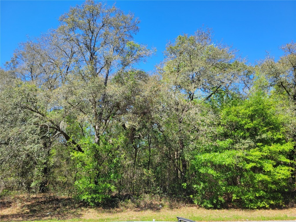 6322 N Darlington Drive Citrus Springs FL 34434 OM655220 image1