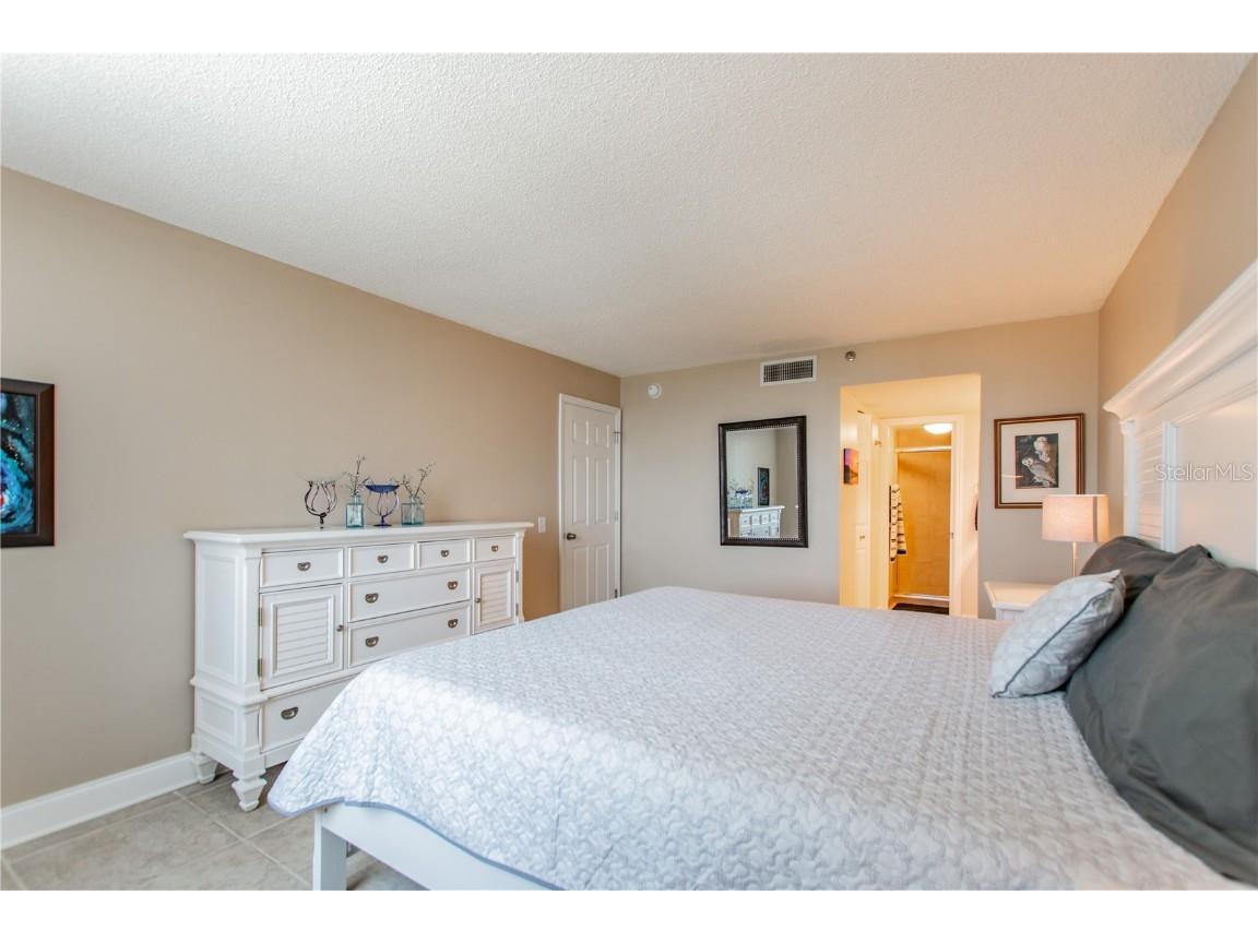 6322 Palma Del Mar Boulevard S #1004 Saint Petersburg FL 33715 U8239842 image17