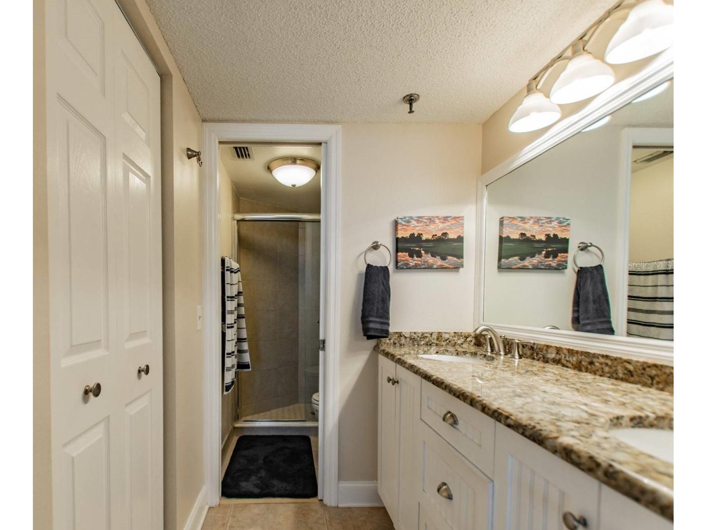 6322 Palma Del Mar Boulevard S #1004 Saint Petersburg FL 33715 TB8496367 image11