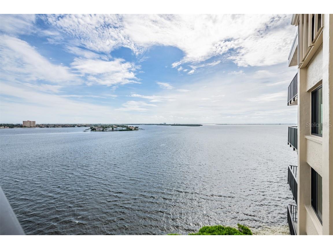 6322 Palma Del Mar Boulevard S #1107 Saint Petersburg FL 33715 - TAMPA BAY TB8389151 image23