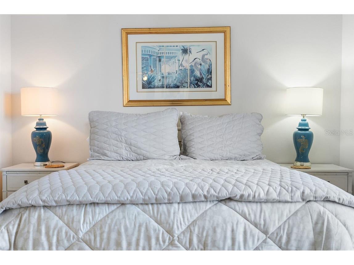 6322 Palma Del Mar Boulevard S #209 Saint Petersburg FL 33715 - BOCA CIEGA BAY TB8451069 image14