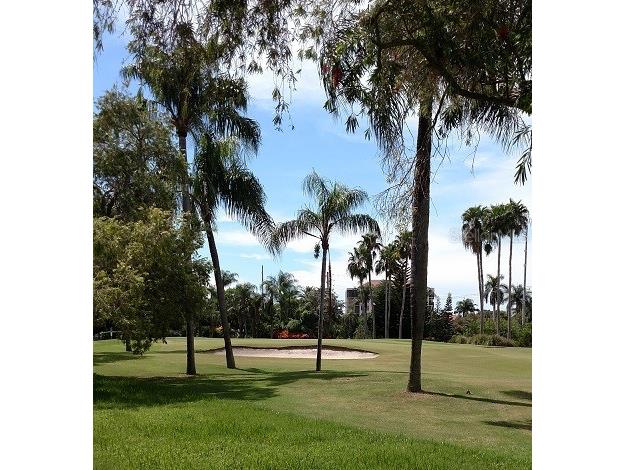 6322 Palma Del Mar Boulevard S #305 Saint Petersburg FL 33715 U8230086 image3