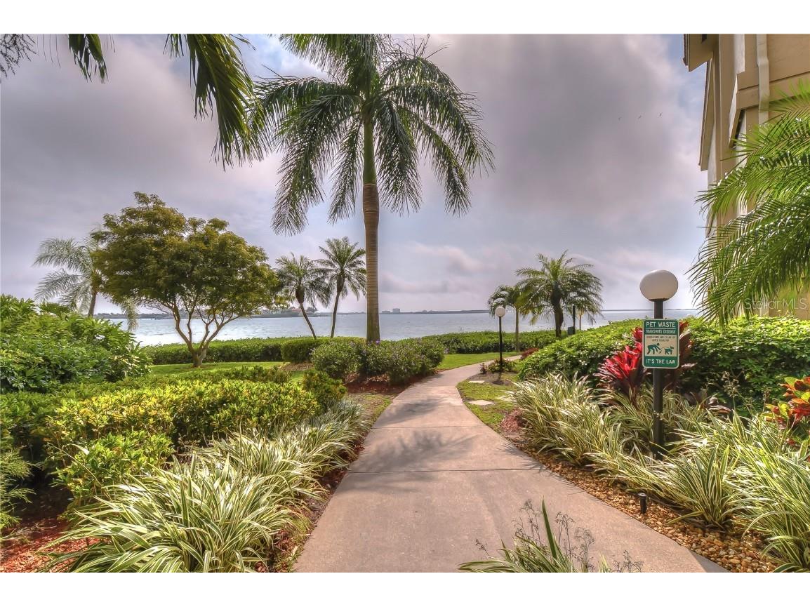 6322 Palma Del Mar Boulevard S #505 Saint Petersburg FL 33715 TB8423829 image39