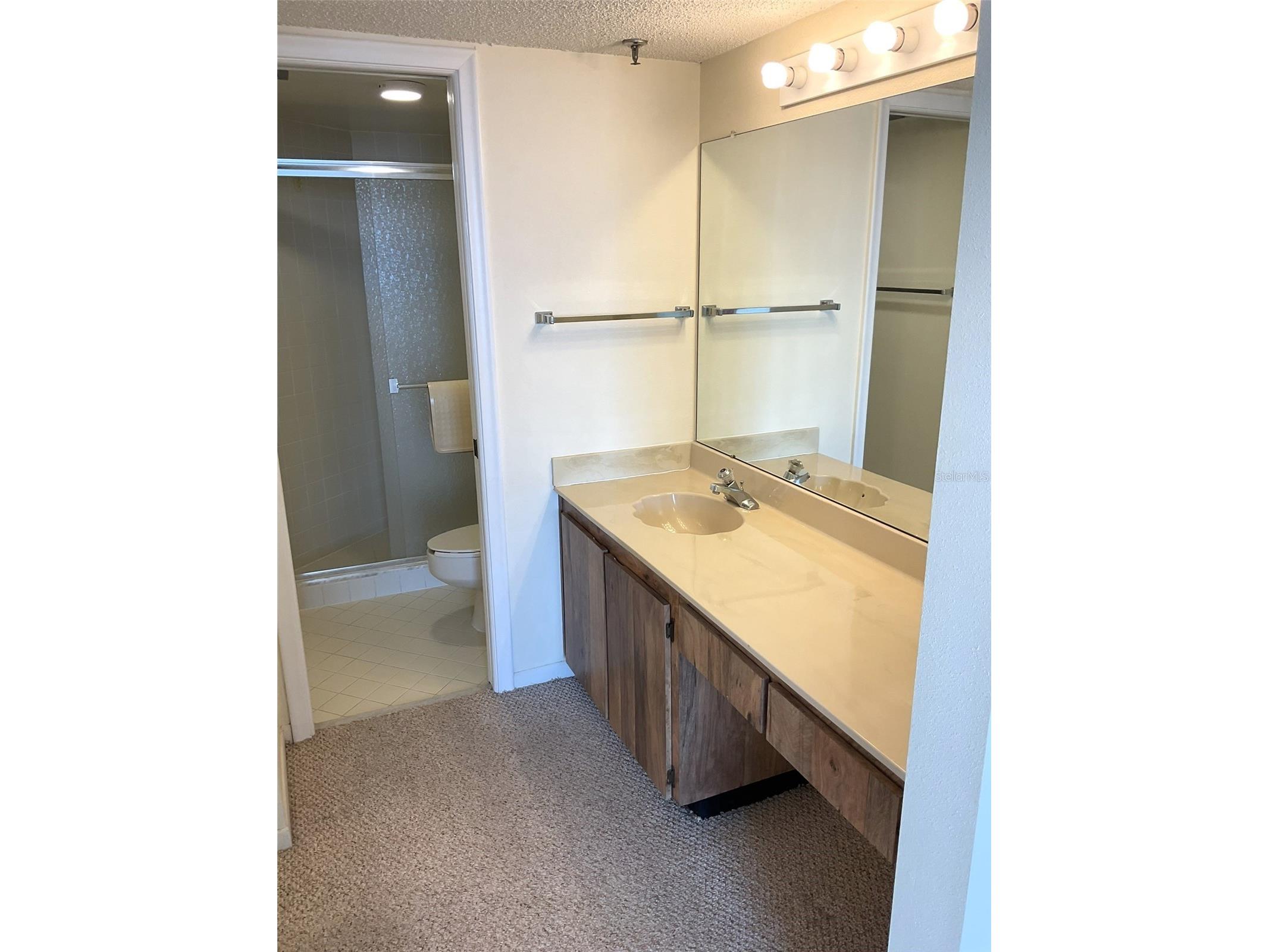 6322 Palma Del Mar Boulevard S #G402 Saint Petersburg FL 33715 TB8514928 image7