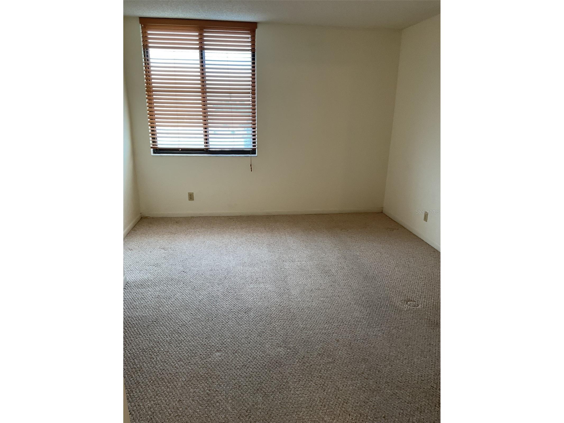 6322 Palma Del Mar Boulevard S #G402 Saint Petersburg FL 33715 TB8514928 image9