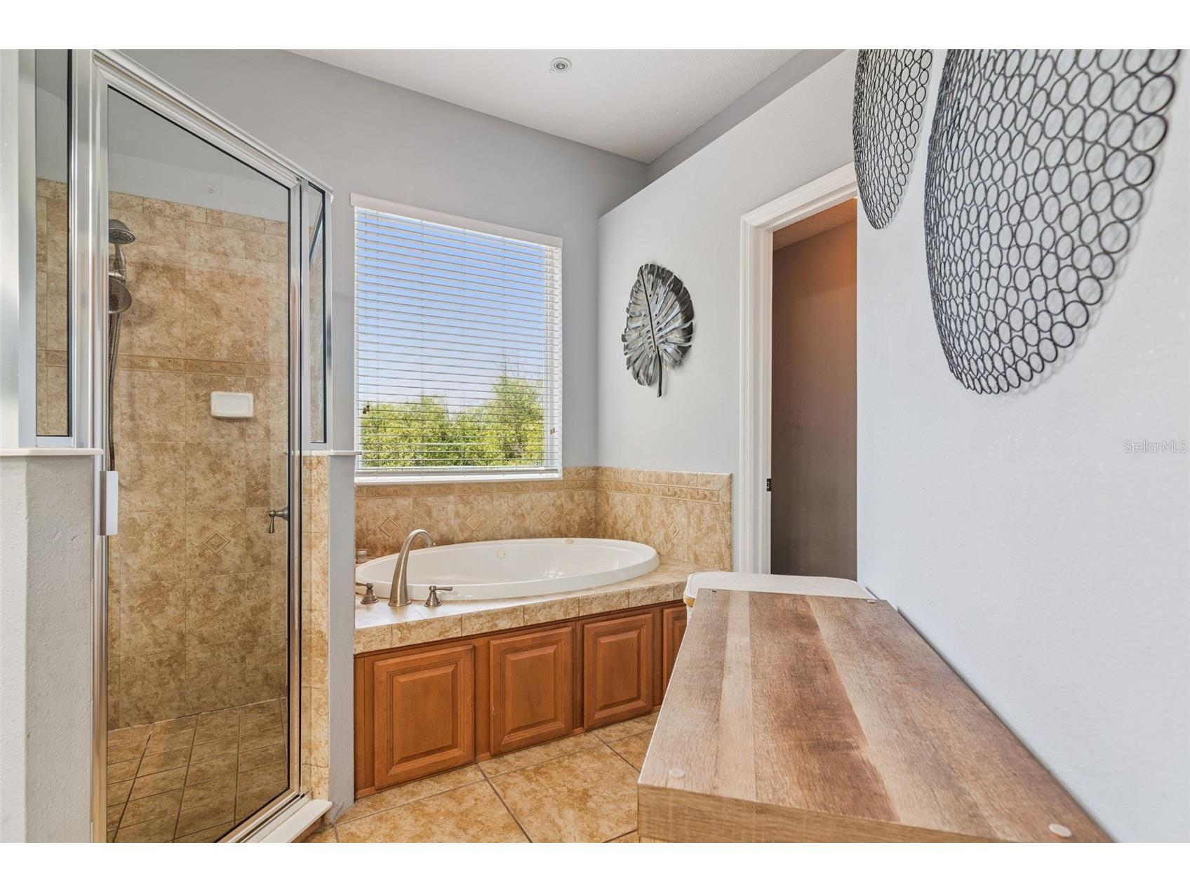 6322 Rolden Court Mount Dora FL 32757 G5113860 image28