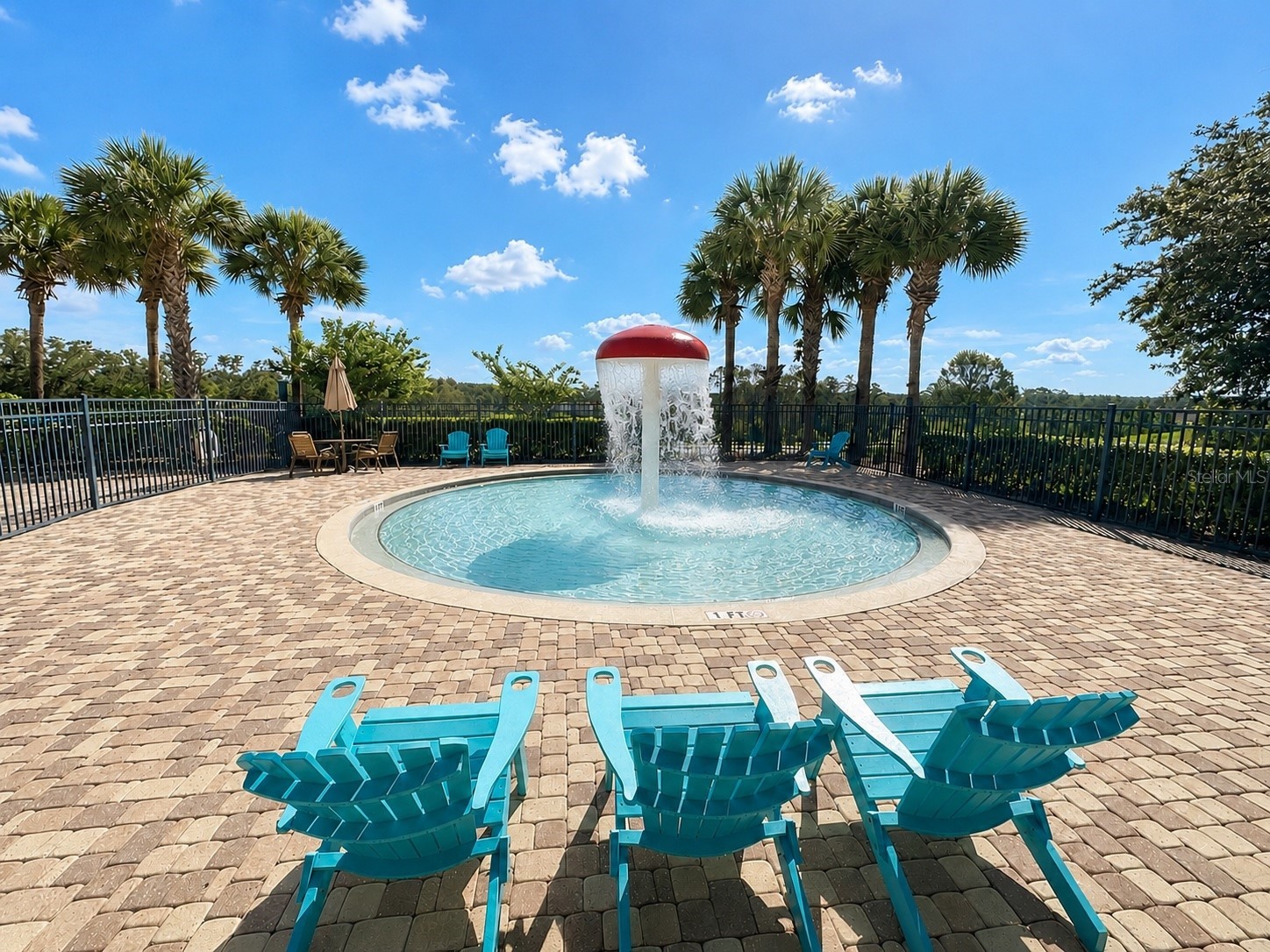 6322 Rolden Court Mount Dora FL 32757 G5113860 image41