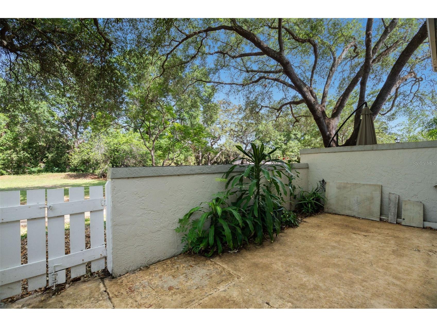 6322 Treetop Circle Temple Terrace FL 33617 TB8498654 image26