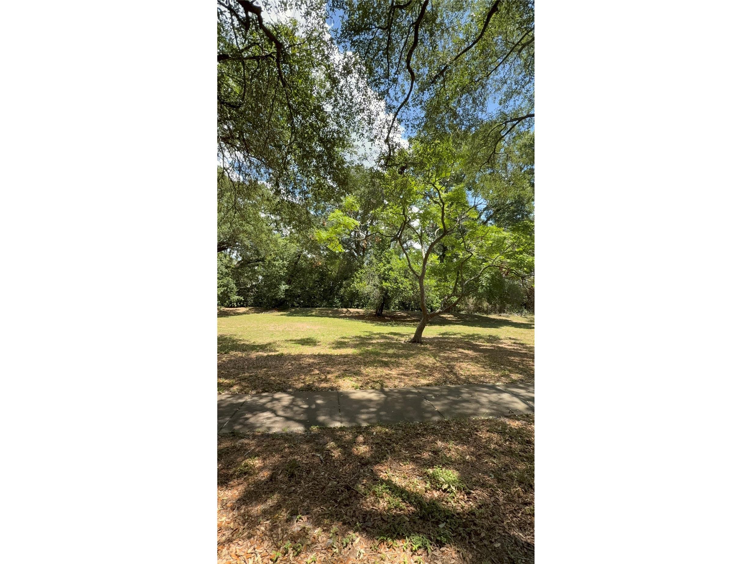 6322 Treetop Circle Temple Terrace FL 33617 TB8498654 image29
