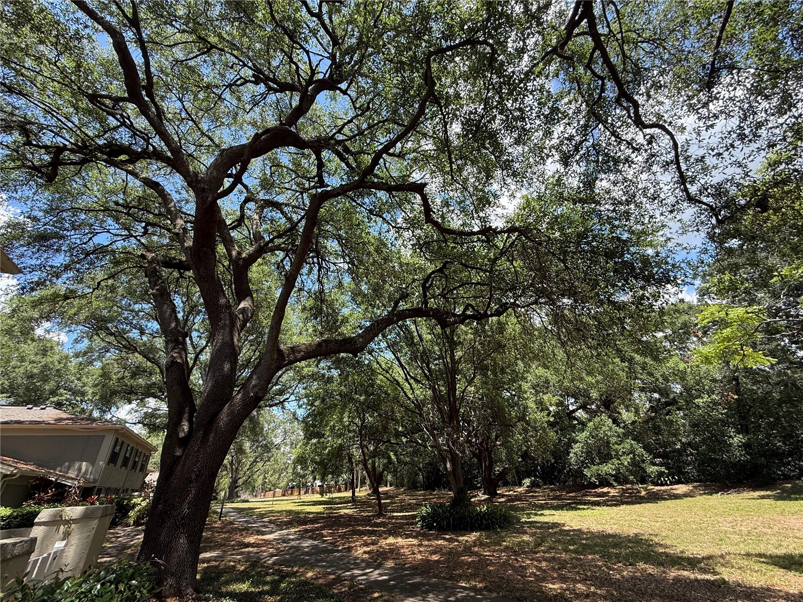 6322 Treetop Circle Temple Terrace FL 33617 TB8498654 image30