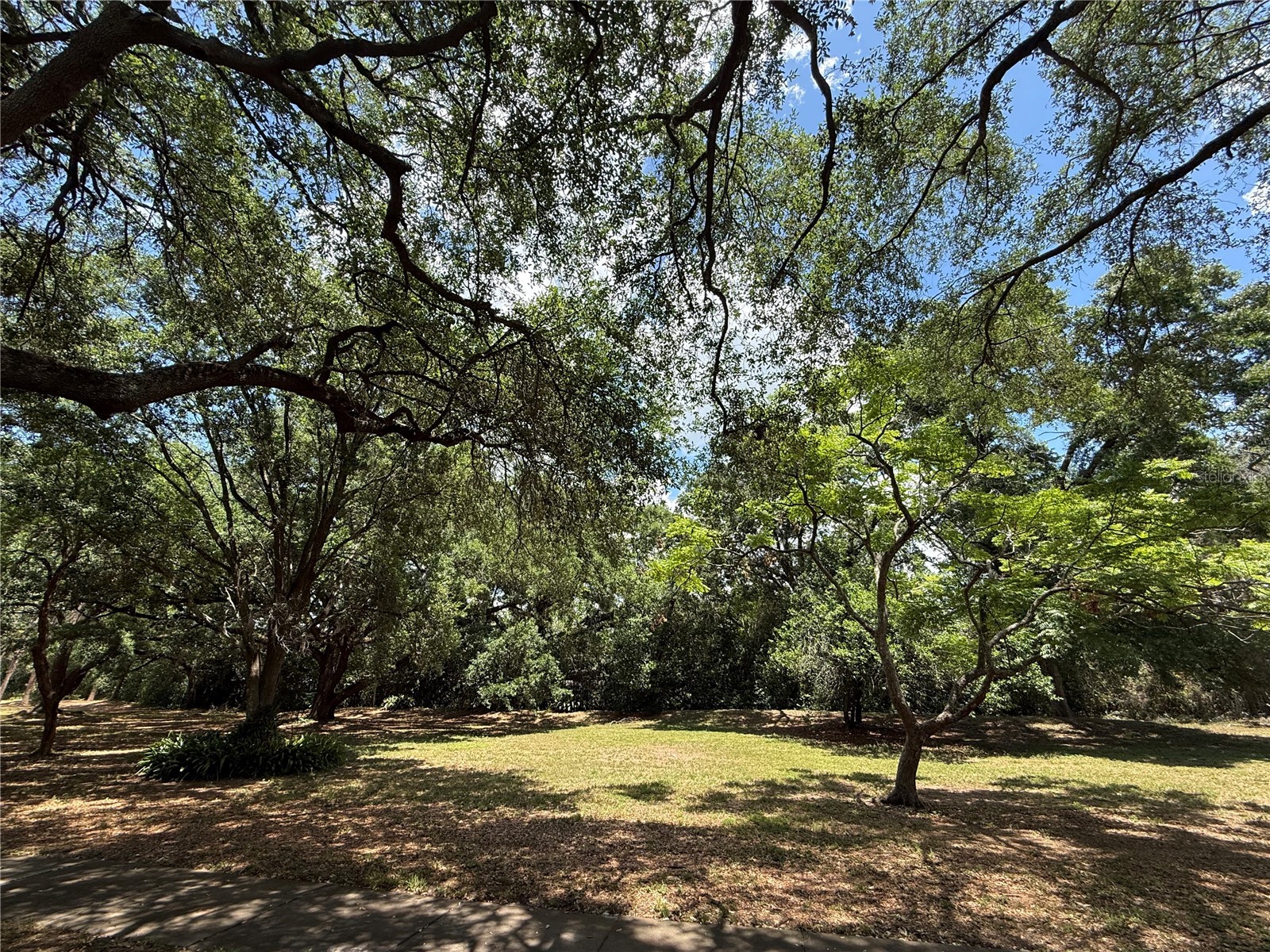 6322 Treetop Circle Temple Terrace FL 33617 TB8498654 image31