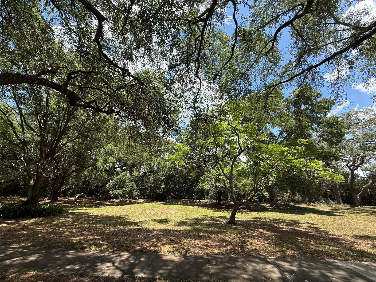 6322 Treetop Circle Temple Terrace FL 33617 TB8498654 image32