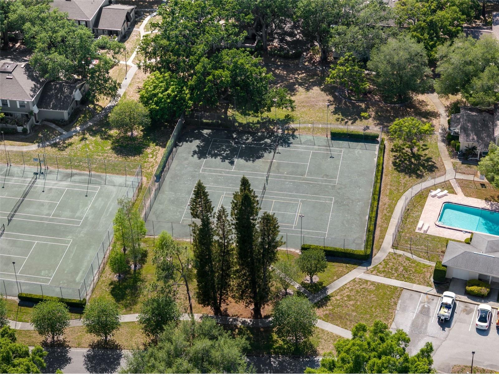 6322 Treetop Circle Temple Terrace FL 33617 TB8498654 image41